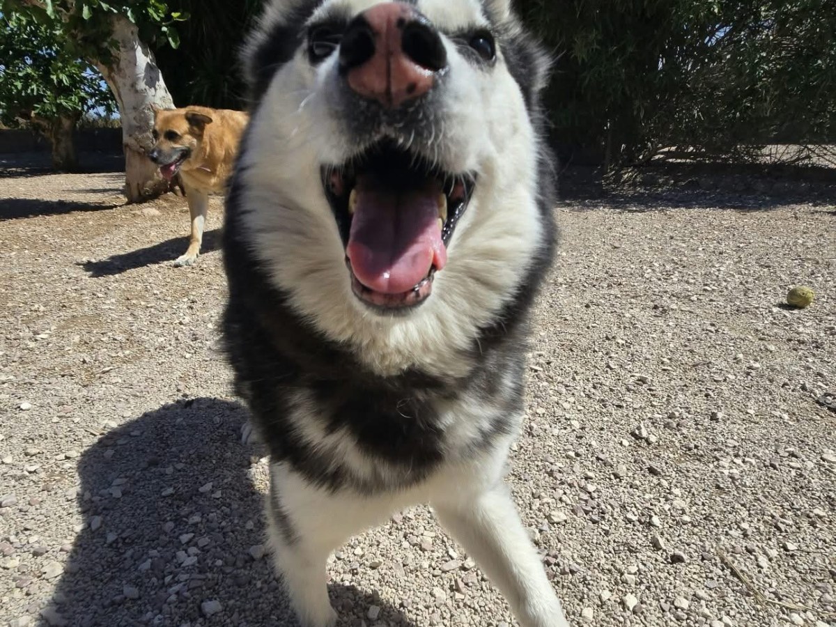 Zuko’s first Spanish&nbsp;holiday!